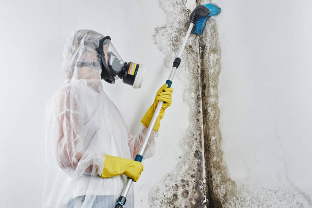 Crawl Space Mold Removal in Spencer, IN