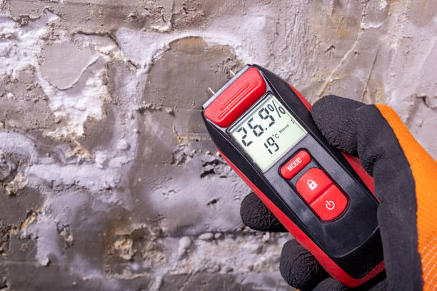 Best Mold Removal Specialists  in Spencer, IN