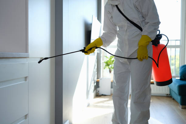 Mold Testing and Removal in Spencer, IN